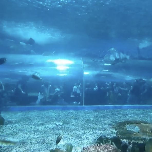 マニラ観光！！🐟