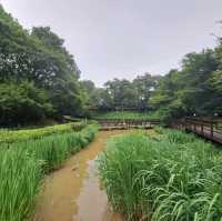 韓國景點📸峨嵯山生態公園😊親親大自然體驗日🌤