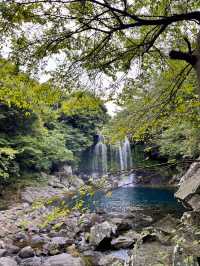 자연경관에 세번 놀라는 서귀포 천제연폭포💧💙