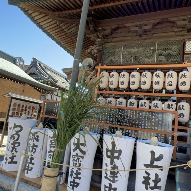 青空に映える大提灯