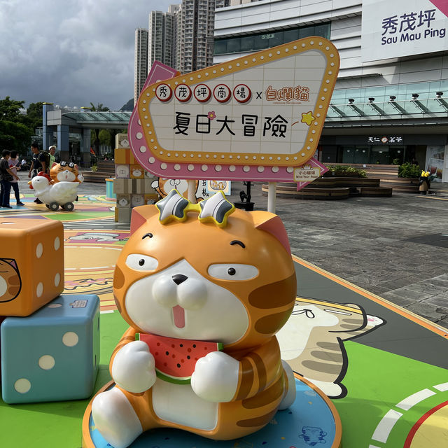 台灣人氣巨星喵登陸秀茂坪 台灣人氣巨星喵登陸秀茂坪