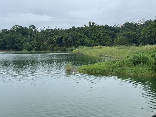 🏞️ 仁義潭水庫：大自然的靈魂，等你來探索！🌊🌟