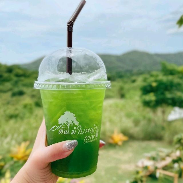 ☕คาเฟ่สายเขียวชอบเสพธรรมชาติ ไม่ควรพลาด