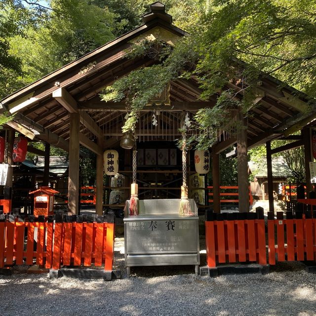 京都嵐山の野宮神社は緑深い神秘的なパワースポット