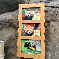 全新動物展館「樹懶與好友」
