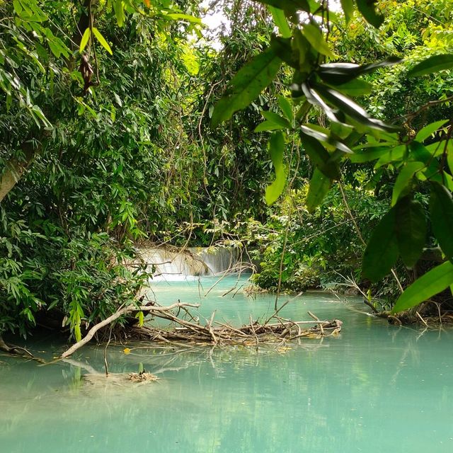 สวนรุกขชาติวังก้านเหลือง
