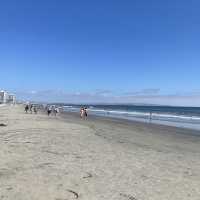 Beautiful Coronado Bench 