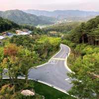 아난티 가평(아난티코드) 테라스하우스에서 호캉스🌳