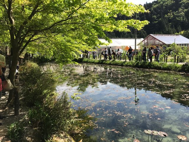 まるで絵画！！モネの池