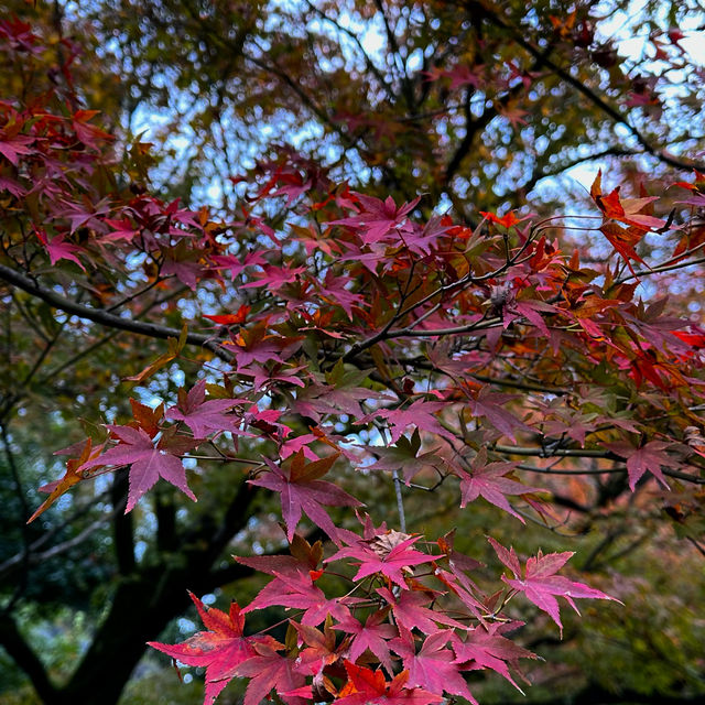 祈願平等院