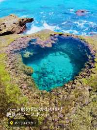 【保存版】さくっとエスケープ！どこかへ行きたい気分のときに！奄美一人旅プラン✈️