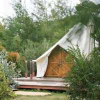  The Birder’s Lodge 