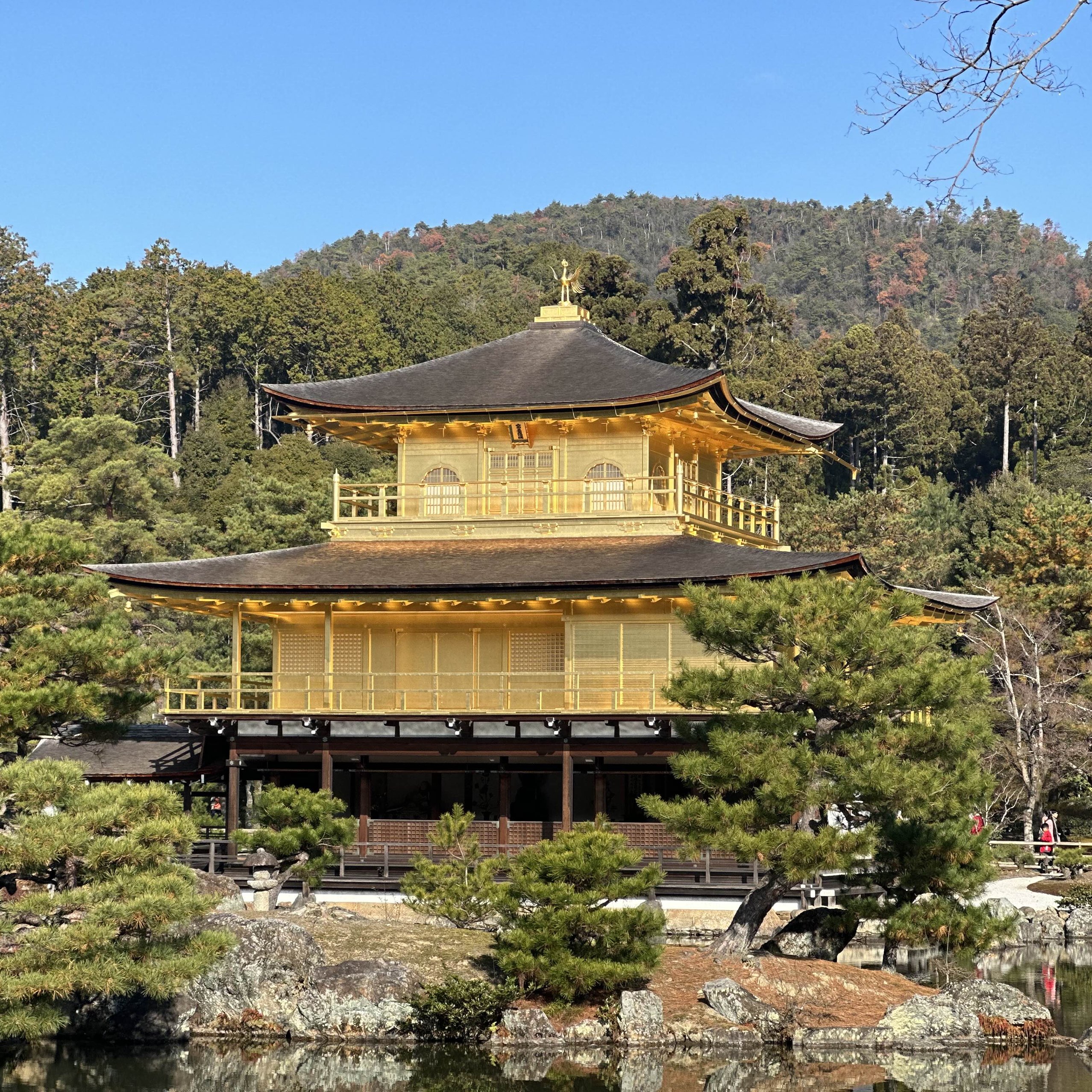 金閣寺：歴史と美の調和 ?? | Trip.com 京都