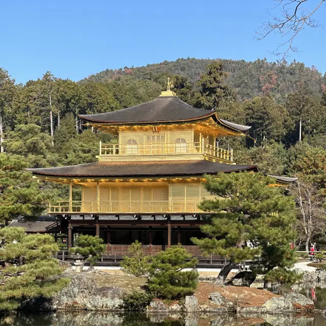 金閣寺：歴史と美の調和 🏯🍁