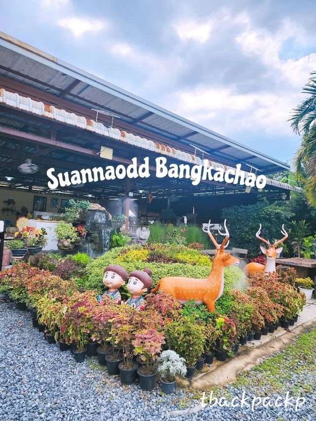 สวนน้าอ๊อด บางกระเจ้า มาทานข้าวกันในสวน 🏡👨‍🌾