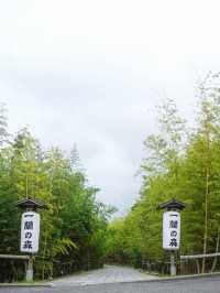 【一蘭拉麵的觀光兼生產工廠】