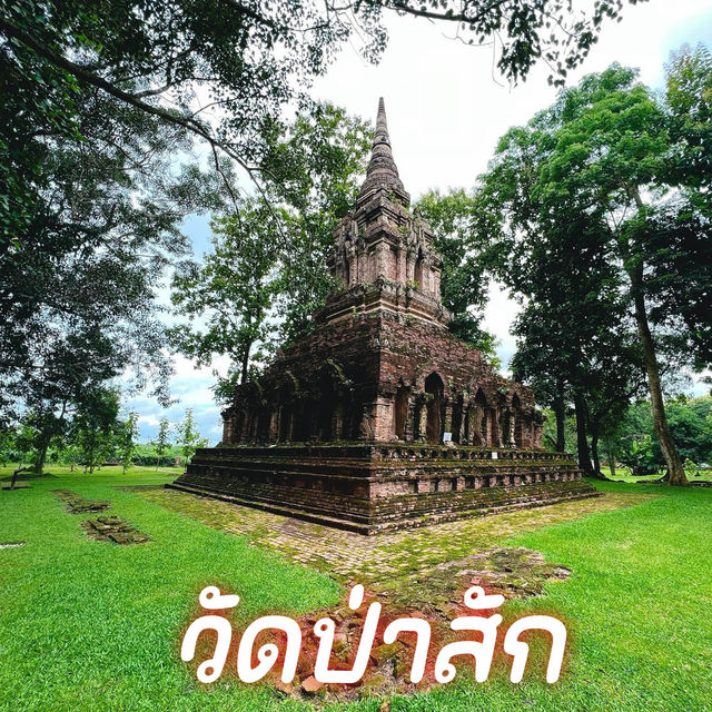 วัดป่าสัก  จ.เชียงราย