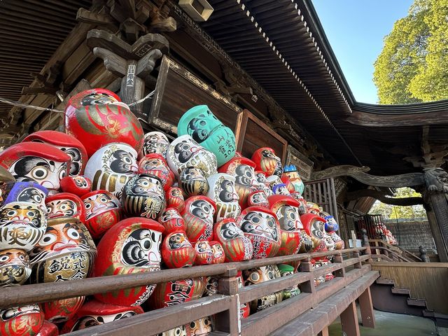 日本高崎市達磨寺 觀音山