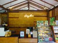 หลงเขา บ่อเกลือ น่าน-Lhong Khao 🍵☕️