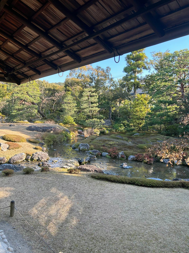 【京都】穴場だけど素敵な庭園