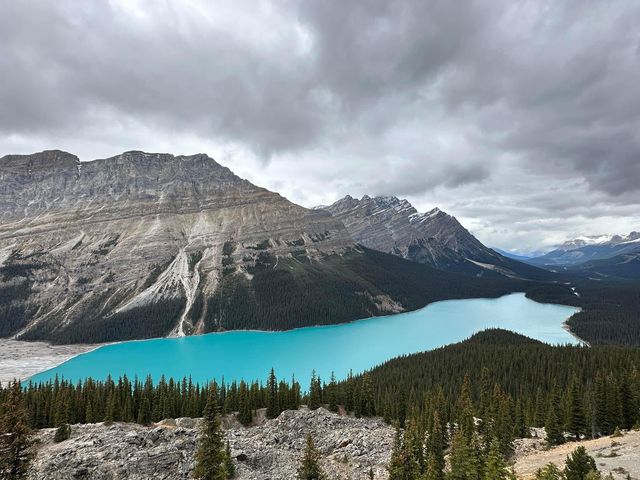 Stunning view on the road in Icefield Parkway