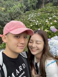 กู๋เนียร์ไฮเดรนเยีย