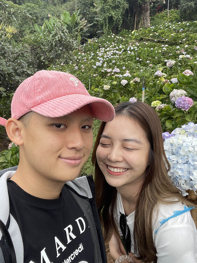 กู๋เนียร์ไฮเดรนเยีย