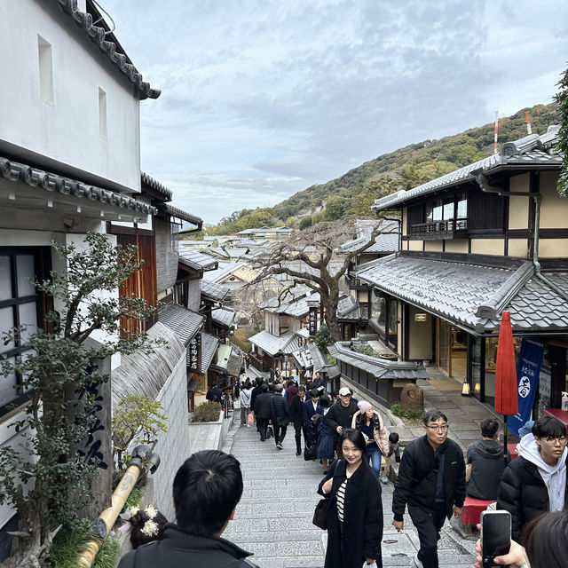 Experiencing the Serenity of Kyoto