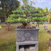 「臺南大智山玄空法寺」：禪意庭園，網路票選第一，適合臺南旅遊