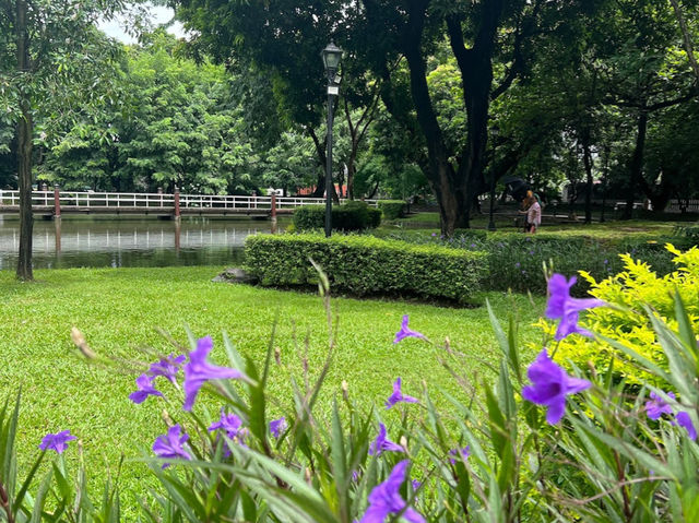 Japanese Garden (Manila)