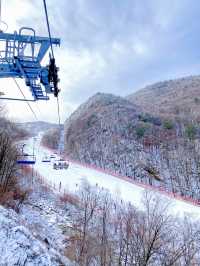 멋진 설경 보면서 겨울 스포츠 즐길 수 있는 📍하이원 리조트 스키장