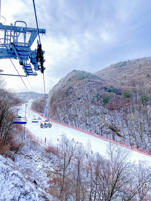 멋진 설경 보면서 겨울 스포츠 즐길 수 있는 📍하이원 리조트 스키장
