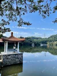 深圳最美植物園，湖光山色，處處都是打咭位