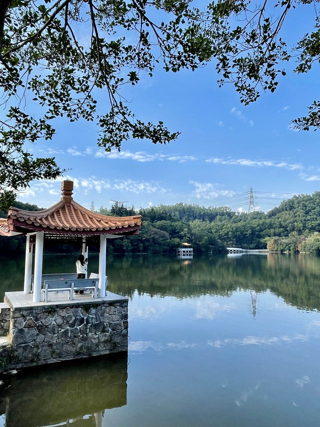深圳最美植物園，湖光山色，處處都是打咭位