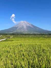 The Majesty of Mount Semeru Volcano