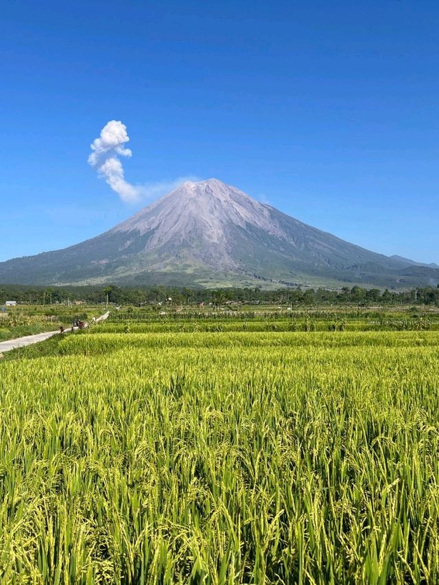 The Majesty of Mount Semeru Volcano