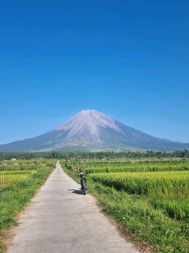 The Majesty of Mount Semeru Volcano