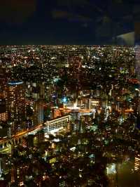 【東京】絶対に外せない！増上寺と東京タワー🗼