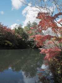 絕美賞楓勝地：雲場池