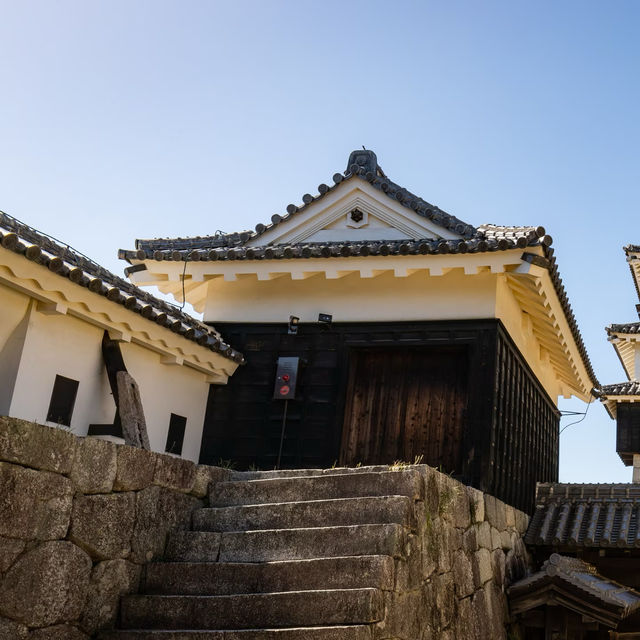 Matsuyama Castle