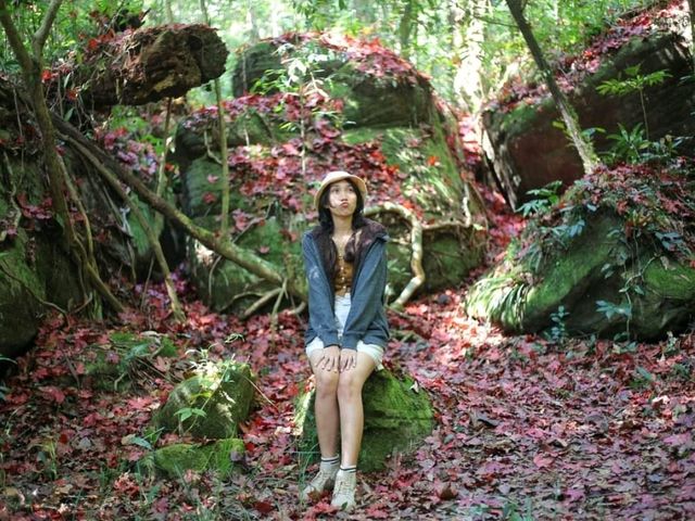 ใบก่วมแดง@หน่วยพิทักษ์อุทยาน ภรก.7 (หมันแดง)