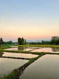 Authentic northern Thai food with a view!