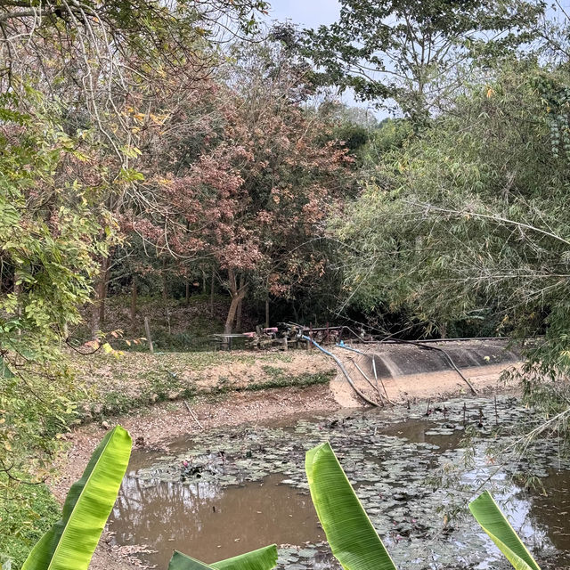 ไร่แสงอรุณ เชียงของ จังหวัดเชียงราย