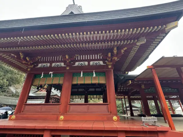【情人節好去處】鎌倉鶴岡八幡宮，參拜和參觀