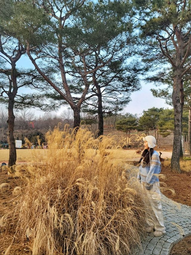 겨울에도 좋지만 봄이 기다려지는 진안여행지🌸