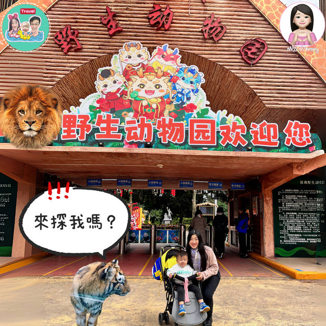 一個超多種課本才看到的動物天地