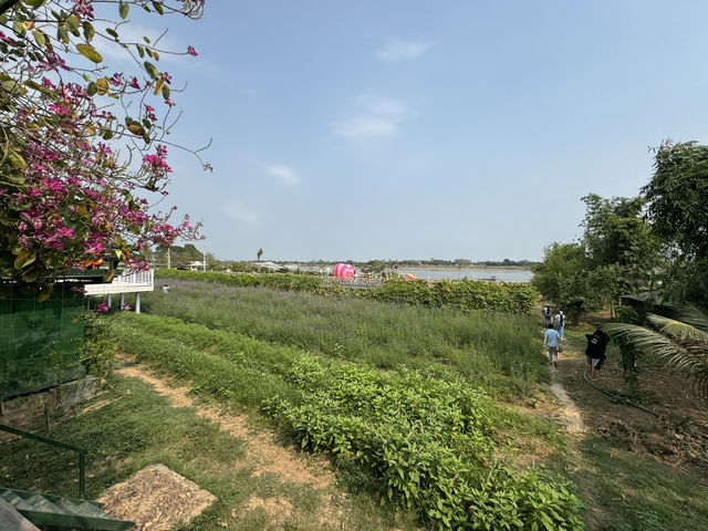 Ban Xiengkhouan Garden