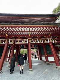 梅が綺麗に咲く福岡の太宰府天満宮