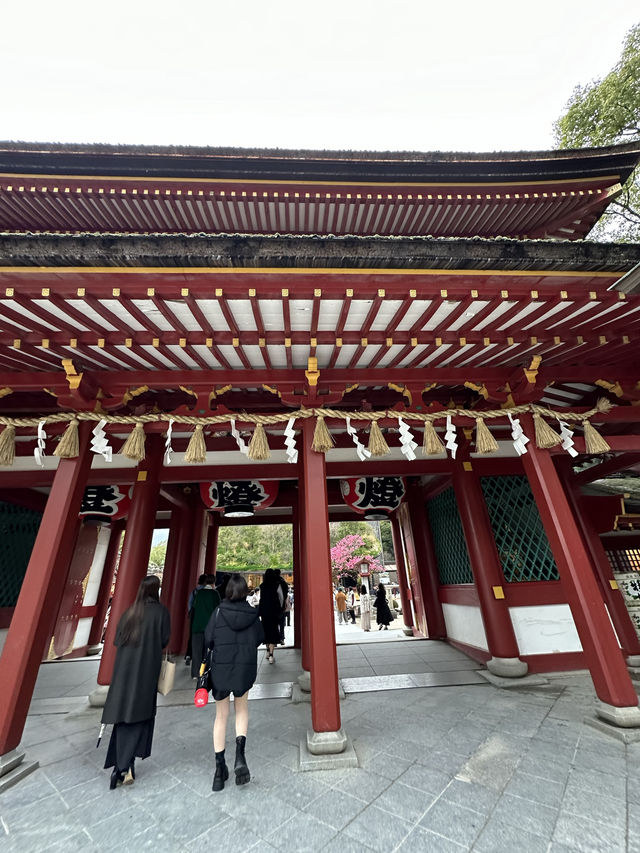 梅が綺麗に咲く福岡の太宰府天満宮