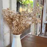 Slole Cafe & Garden